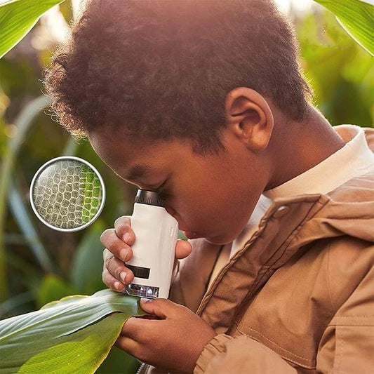 Kid's Pocket Microscope